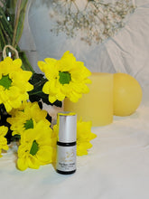 Load image into Gallery viewer, Bees knees, adhesive, lash adhesive, clear adhesive, bourdon beauty, victoria bc
