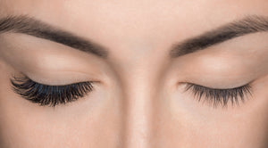 bourdon beauty, classic lash course, course, classic lashes, lashes